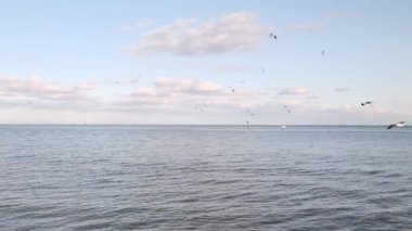 Yavaş çekimde martılarla ve manzaralı bulutlarla deniz manzarası