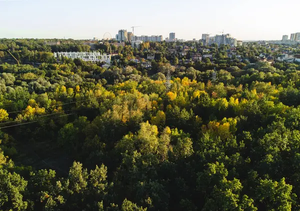 Şehir binaları ve gökdelenlerle çevrili yeşil şehir parkının insansız hava aracı görüntüsü