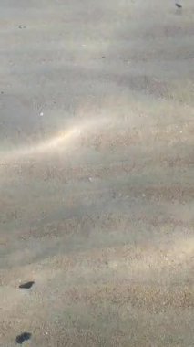 Deniz tabanının dikey yukarıdan görünüşü, temiz su ve güneş ışınları altında kum dalgalanmalarını gösteriyor