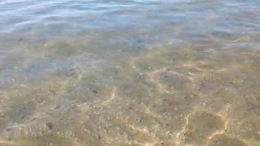 Sualtı sakinliği, dalgalanan kum, şeffaf su altında yaz güneşinin aydınlattığı deniz kabuğu.