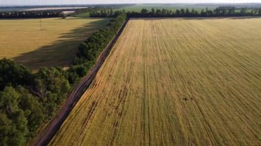 Hava yeşili yaz tarım arazisi manzarası sabah ışığında tarım tarlaları, verimli kırsal Ukrayna