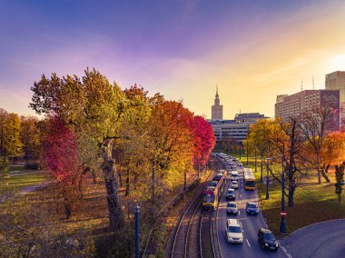 Varşova Sakson Parkı 'nda Sonbahar