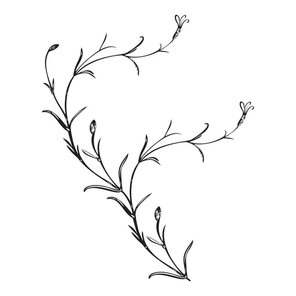 Botanická Ručně Kreslená Rostlina Kytice Izolovaná Pozadí Rám Jarních Květin — Stockový vektor