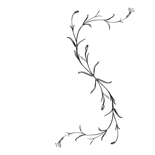 Βοτανικό Φυτό Ζωγραφισμένο Στο Χέρι Μπουκέτο Απομονωμένο Στο Παρασκήνιο Άνοιξη — Διανυσματικό Αρχείο