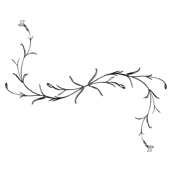 Botanická Ručně Kreslená Rostlina Kytice Izolovaná Pozadí Rám Jarních Květin — Stockový vektor