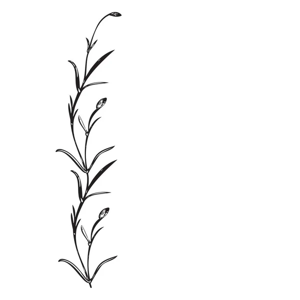 식물학적 손으로 빈티지 테두리 야생화 식물의 추상적 인기있는 인사말 결혼식 — 스톡 벡터