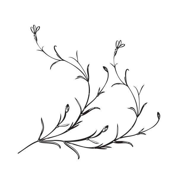 Ботанічна Рослина Намальована Вручну Букет Дикої Квітки Ізольований Фоні Весняне — стоковий вектор