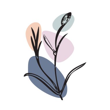 Renk bandına yaban çiçeği çizilmiş botanik el beyaz arka plan. Klasik yaratıcı çiçek stili. Vektör illüstrasyon tebrik kartı, tasarım, poster, baskı, parti, düğün davetiyesi, doğum günü