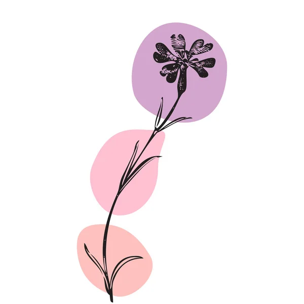 Botanique Fleur Sauvage Dessinée Main Sur Tache Couleur Isolé Fond — Image vectorielle