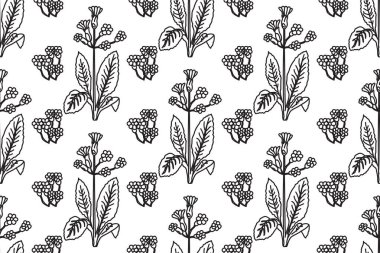 Siyah ve beyaz desensiz çiçek deseni. Botanik bitkileri ve çiçek vektör çizimi soyut arkaplan. Moda tekstil kapağı düğün davetiyesi kaplama kartı için grafik tasarımı.