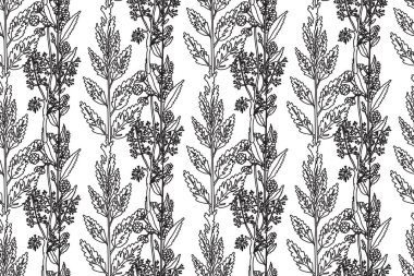 Siyah beyaz botanik bitkileri ve çiçek vektör çizimleri. Soyut, pürüzsüz desen. Tekrarlayan çizgiler çiçek desenleri. Düğün Kutlama Davetiyesi Kapağı Tekstil Paketi için grafik tasarımı