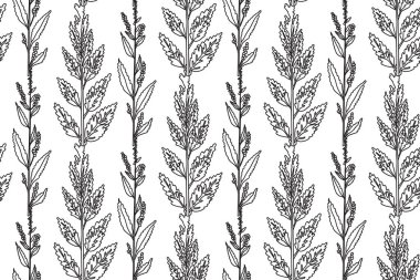 Siyah beyaz botanik bitkileri ve çiçek vektör çizimleri. Soyut, pürüzsüz desen. Tekrarlayan çizgiler çiçek desenleri. Düğün Kutlama Davetiyesi Kapağı Tekstil Paketi için grafik tasarımı