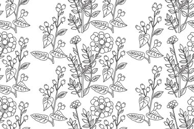 Botanik Çizgisi sanatı yaban çiçekleri vektör illüstrasyonlu dikişsiz bitki deseni. Siyah ve beyaz özyinelenen çiçek deseni. Duvar Kağıdı Düğün Kapağı Tekstil Paketi için grafik tasarımı