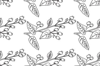 Botanik Çizgisi sanatı, yapraklı ve böğürtlen desenli soyut bir daldır. Siyah ve beyaz çizgiler tekrar eden ağaç izleri. Duvar Kağıdı Düğün Kapağı Paketi için Grafik Tasarımı