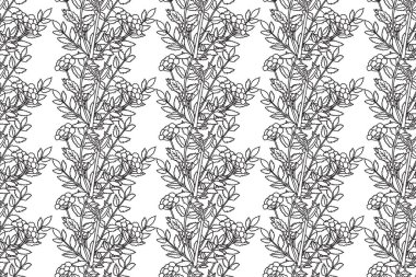 Botanik Çizgisi soyut desenli Whit bitki ve çiçek vektör çizimi. Siyah ve beyaz çizgiler tekrar eden çiçek izleri. Duvar Kağıdı Kapağı Tekstil Kutlama Kartı Kitabı için grafik tasarımı