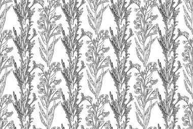 Soyut, dikişsiz, çiçek desenli çizim vektör çizimi. Siyah ve beyaz çizgiler botanik kır çiçeklerini tekrarlıyor. Duvar Kağıdı Kapağı Örtüsü Paket Kutlama Kartı için Grafik Tasarımı