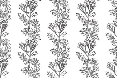 Soyut, dikişsiz, çiçek desenli çizim vektör çizimi. Siyah ve beyaz çizgiler botanik kır çiçeklerini tekrarlıyor. Duvar Kağıdı Kapağı Örtüsü Paket Kutlama Kartı için Grafik Tasarımı