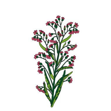 Beyaz arka planda izole edilmiş bir buket yabani çiçek. El çizimi bitkiler ve çiçekler yeşil pembe renkli vektör çizimi. Yazdırma Markası Düğün Davetiyesi Kartı için Grafik Tasarımı