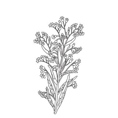 Beyaz arka planda izole edilmiş botanik çizgisi kır çiçekleri demeti. El çizimi siyah-beyaz çizilmiş bitki ve çiçek vektör çizimi. Yazdırma Markası Düğün Davetiyesi Kartı için Grafik Tasarımı
