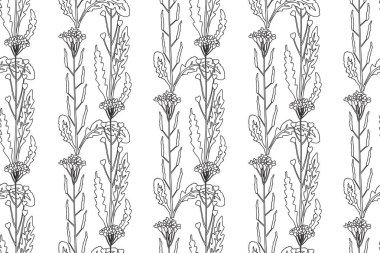 Çizgi sanatı botanik soyut, dikişsiz bitki deseni ve kır çiçekleri vektör çizimi. Siyah ve beyaz çizgiler tekrar eden çiçek arkaplanı. Duvar Kağıdı Tekstil Yazdırma Kapağı Kapağı Kitabı için grafik tasarımı