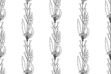 Çizgi sanatı botanik soyut, dikişsiz bitki deseni ve kır çiçekleri vektör çizimi. Siyah ve beyaz çizgiler tekrar eden çiçek arkaplanı. Duvar Kağıdı Tekstil Kapağı Doğum günü için grafik tasarımı