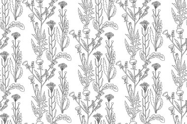 Çizgi sanatı botanik soyut, dikişsiz bitki deseni ve kır çiçekleri vektör çizimi. Siyah ve beyaz çizgiler tekrar eden çiçek arkaplanı. Duvar Kağıdı Tekstil Kapağı Doğum günü için grafik tasarımı