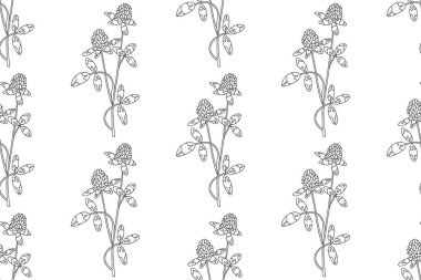 Çizgi sanatı botanik soyut ve soyut bitki deseni ile Clover yaban çiçekleri vektör illüstrasyonu. Siyah ve beyaz çizgiler tekrar eden çiçek arkaplanı. Duvar Kağıdı Tekstil Kapağı Doğum Günü için grafik tasarımı