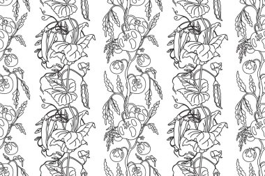 Domatesler ve bezelye taşıyıcısı çizimleri ile soyut, kusursuz desenler. El çizimi beyaz arka planda tekrarlayan sebze deseni. Duvar Kağıdı Renklendirme Kitabı için grafik tasarımı