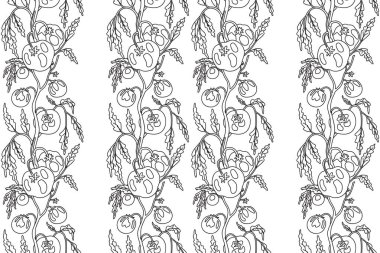 Domates vektör illüstrasyonlu çizgiler kusursuz desen. El çizimi, tekrarlayan sebze desenli arka plan. Duvar Kağıdı Renklendirme Kitabı Tekstil Kapağı Yazdırma Moda Yazısı için grafik tasarımı