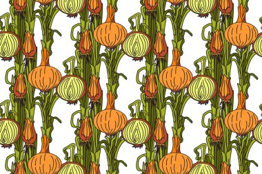 Sulu soğan vektör illüstrasyonlu botanik ve dikişsiz desen. Renkli sebzeler beyaz arka planda çizgi film kalıplarını tekrarlıyorlar. Moda Kapağı Tekstil Doğum Günü için grafik tasarımı 