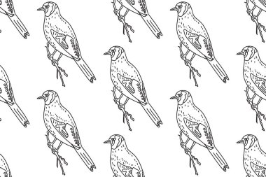 Bahçe kuşları vektör illüstrasyonlu çizgiler kusursuz desen. El çizimi, beyaz arka planda tekrarlayan karduelis kuşları deseni. Kapak Renklendirme Sayfası Tekstil Yazdırma için grafik tasarımı 