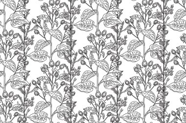 Çizgi sanatı botanik desensiz çiçek deseni yaban çiçekleri vektör illüstrasyonlu. Siyah beyaz özyinelenen bitki özeti beyaz arka planda. Moda Kapağı Tekstil Renk Sayfa Kartı için grafik tasarımı