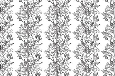 Çizgi sanatı botanik desensiz çiçek deseni yaban çiçekleri vektör illüstrasyonlu. Siyah beyaz özyinelenen bitki özeti beyaz arka planda. Moda Kapağı Tekstil Renk Sayfa Kartı için grafik tasarımı