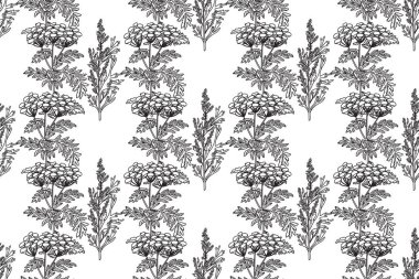 Çizgi sanatı botanik kusursuz bitki deseni ve çiçek vektör çizimi. Beyaz arka planda tekrarlanan siyah çizgili çiçek deseni. Moda Kapağı Tekstil Renklendirme Sayfası Doğum Günü için grafik tasarımı