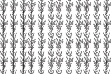 Çizgi sanatı botanik dikişsiz bitki deseni ve kır çiçekleri vektör çizimi. Beyaz arka planda tekrarlanan siyah çizgili çiçek deseni. Moda Kapağı Tekstil Rengi Yazdırma Sayfası için Grafik Tasarımı