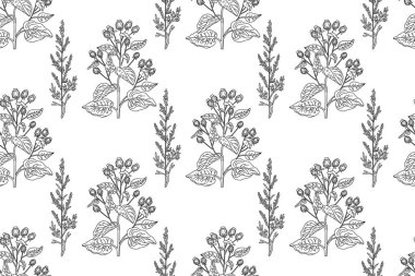 Çizgi sanatı botanik dikişsiz bitki deseni ve kır çiçekleri vektör çizimi. Beyaz arka planda tekrarlanan siyah çizgili çiçek deseni. Moda Kapağı Tekstil Rengi Yazdırma Sayfası için Grafik Tasarımı