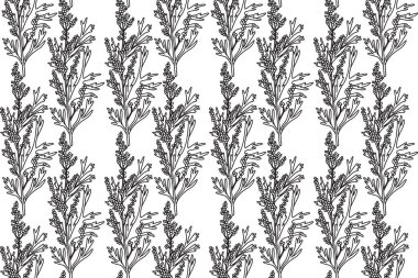 Çizgi sanatı botanik dikişsiz bitki deseni ve böğürtlen vektör çizimi. Beyaz arka planda tekrarlanan siyah çizgili çiçek deseni. Moda Kapağı Tekstil Rengi Yazdırma Sayfası için Grafik Tasarımı  