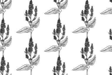 Çizgi sanatı botanik dikişsiz çiçek deseni ve kır çiçekleri vektör illüstrasyonu. Siyah çizgi beyaz arka planda tekrarlanan tıbbi bitkiler. Moda Kapağı Tekstil Rengi Sayfası için grafik tasarımı