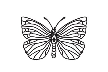 Çizgi sanatı kelebeği, beyaz arka planda izole siyah çizgiler çiziyor. El çizimi kelebek vektör çizimi. Doğum günü Renk Kartı Yazdırma Simgesi için grafik tasarım karalama ögesi
