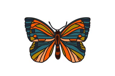 El çizimi renkli kelebek beyaz arka planda izole. Botanik parlak kelebek vektör çizimi. Doğum günü tebrik kartı yazıcı ikonu simgesi simgesi davetiyesi için grafik tasarım ögesi