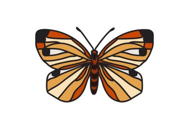 El çizimi renkli kelebek beyaz arka planda izole. Botanik parlak kelebek vektör çizimi. Doğum günü tebrik kartı yazıcı ikonu simgesi simgesi davetiyesi için grafik tasarım ögesi