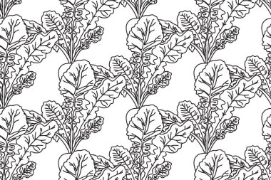 Pancar bitkilerinin vektör illüstrasyonuyla çizgili kusursuz desen. El çizimi, tekrarlayan sebze desenli arka plan. Kapak Renkli Kitap Tekstil Moda Yazdırma Kartı Doğum günü için grafik tasarımı