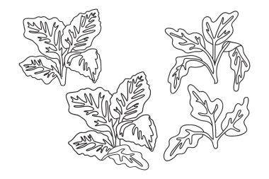 Çizgi çizimleri tropikal yapraklar beyaz arka planda izole edilmiş. El çizimi botanik çizimi bitki vektör çizimi seti. Doğum günü Davet Kartı Yazdırma için grafik tasarım karalama elementleri