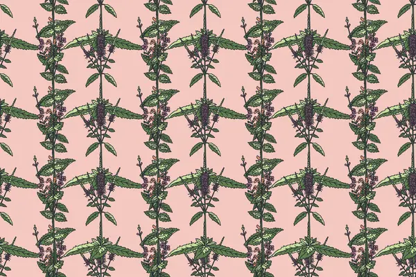 Çiçeksiz desenli botanik çiçekli vektör çizimi. Çiçek Kökü Yaprakları ile tekrar eden tıbbi bitkiler, pastel pembe arka planda. Moda Düğün Tekstil Kapağı için grafik tasarımı