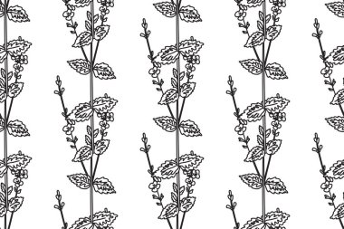 Çizgi sanatı botanik desenli, kır çiçekleri vektör illüstrasyonlu dikişsiz desen. Siyah ana hatları, Çiçek Yaprakları Kökleri olan tıbbi bitkilerin beyaz arka planda tekrarlanması. Moda Kapağı için grafik tasarımı