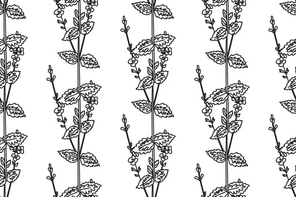 Çizgi sanatı botanik desenli, kır çiçekleri vektör illüstrasyonlu dikişsiz desen. Siyah ana hatları, Çiçek Yaprakları Kökleri olan tıbbi bitkilerin beyaz arka planda tekrarlanması. Moda Kapağı için grafik tasarımı