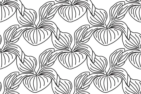 Çizgi sanatı botanik muz çalılıkları kusursuz desenli vektör çizimi. Siyah ana hatları tekrarlayan muz beyaz arka planda bitkileri bırakır. Moda Kapağı Tekstil Düğün Yazdırma Kitabı için grafik tasarımı