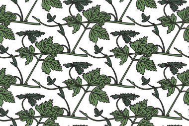 Botanik çiçek desenli ve asma vektör resimli. Uzun saplı sarmaşık bitkisi ve beyaz arka planda yeşil yapraklar. Doğum günü düğün kartı kapağı için grafik tasarımı