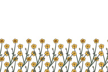 Beyaz arka planda izole edilmiş çayır çiçekleriyle botanik çiçekli yatay sınır. El çizimi küçük sarı kır çiçekleri bitki vektör illüstrasyonu. Doğum günü için grafik tasarım elementi.