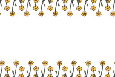 Beyaz arka planda izole edilmiş çayır çiçekleriyle botanik çiçekli yatay sınır. El çizimi küçük sarı kır çiçekleri bitki vektör illüstrasyonu. Doğum günü için grafik tasarım elementi.